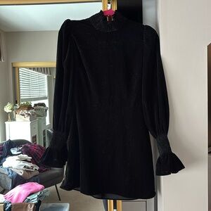 Zara Velvet long sleeve Mini dress